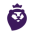 Premier League SRL