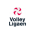 VolleyLigaen, Women